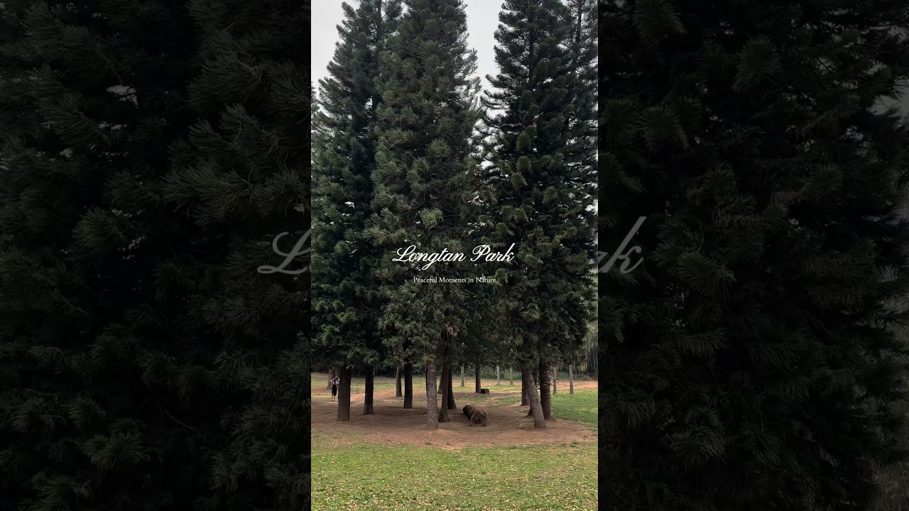 Where time slows down  #dayinmylife #park #slowlifestyle #reading
