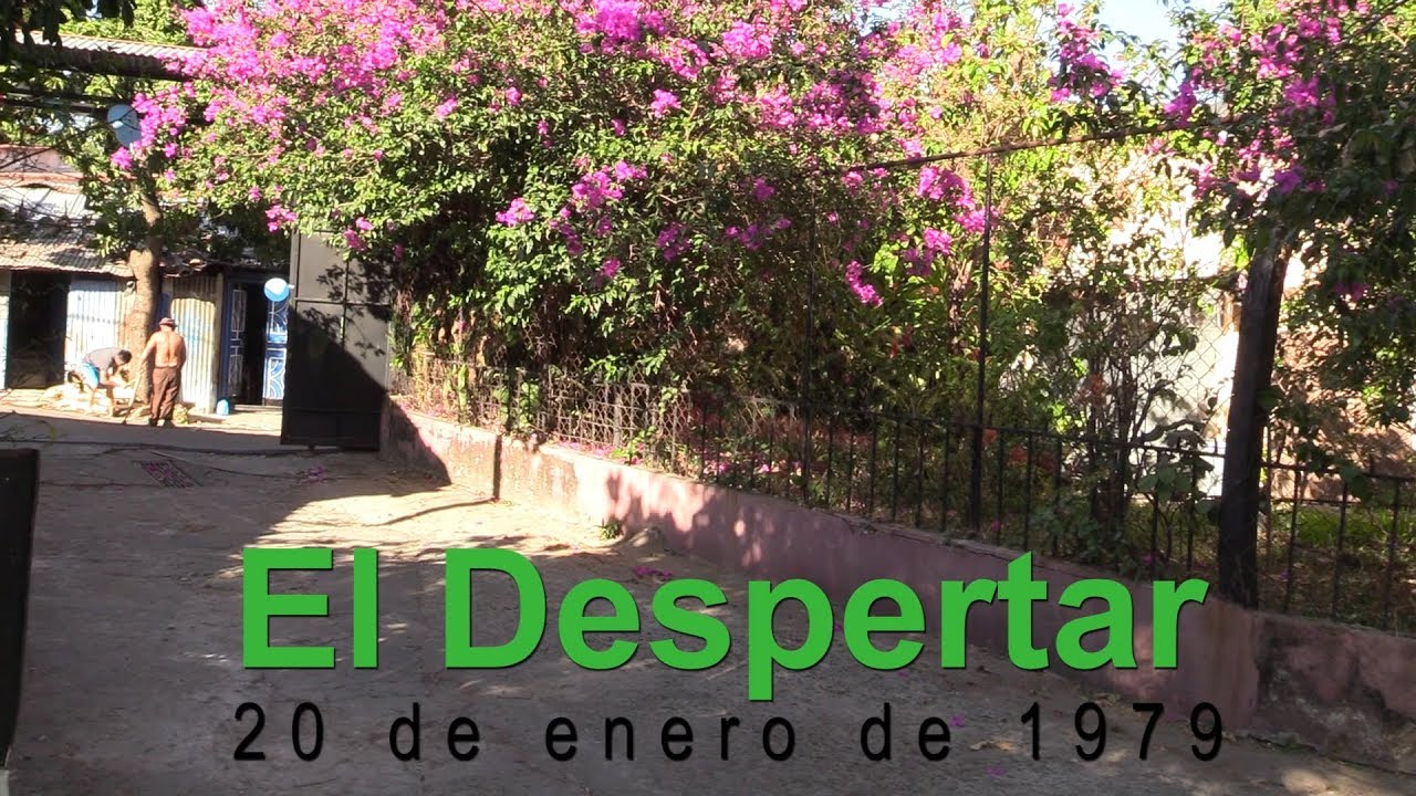 El Despertar. 20 de enero de 1979  (2019)
