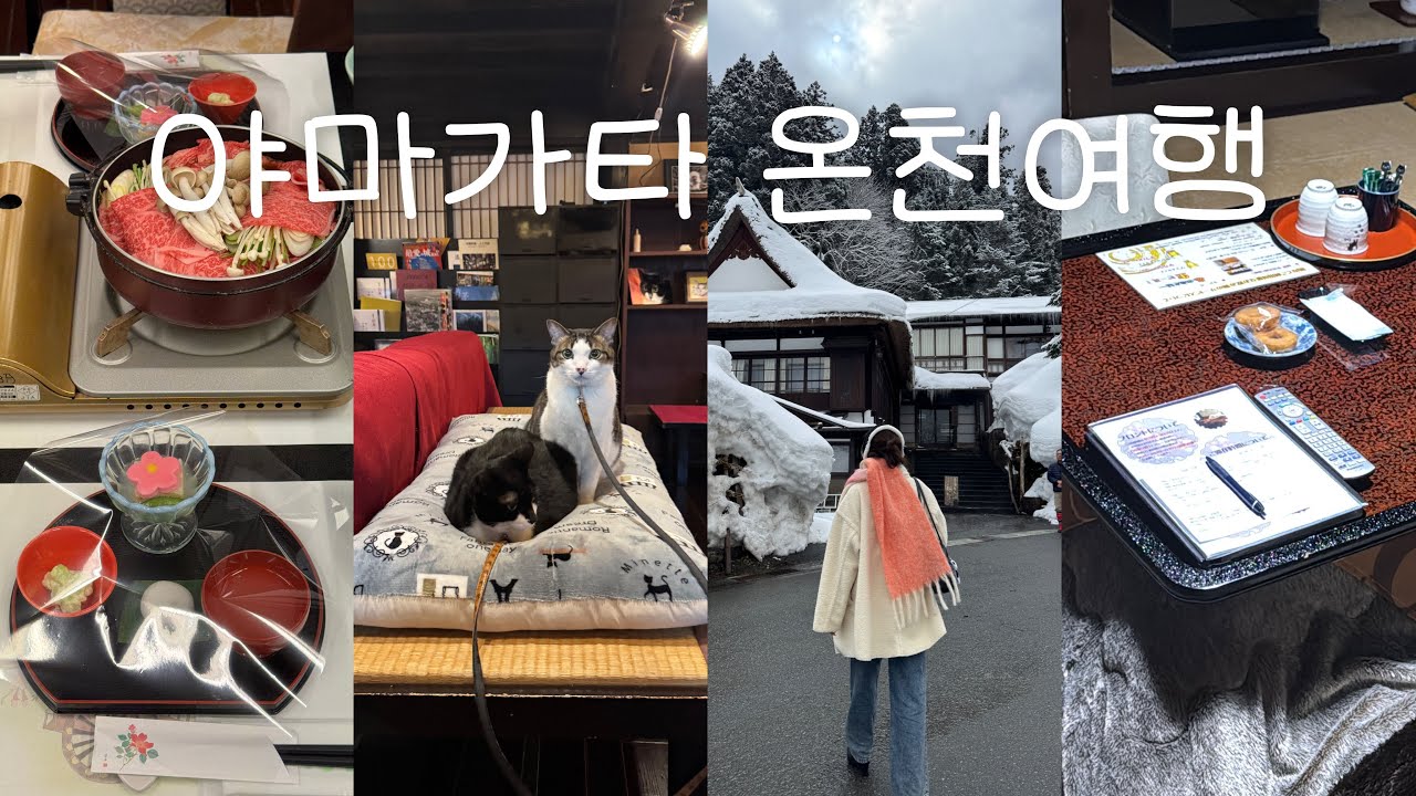 야마가타 여행vlog｜일본 시골 산속 온천 여관에서 와규 스키야끼 먹기♨️｜와인이랑 과일이 맛있는 야마가타현 1박2일 여행🍷feat. 시라부온천, 타카하타 와이너리