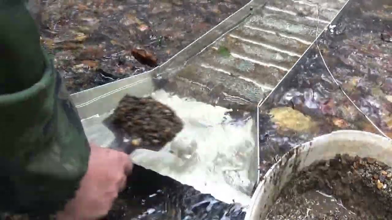 Мою Золото минишлюзом из потайной ямы в ручье!