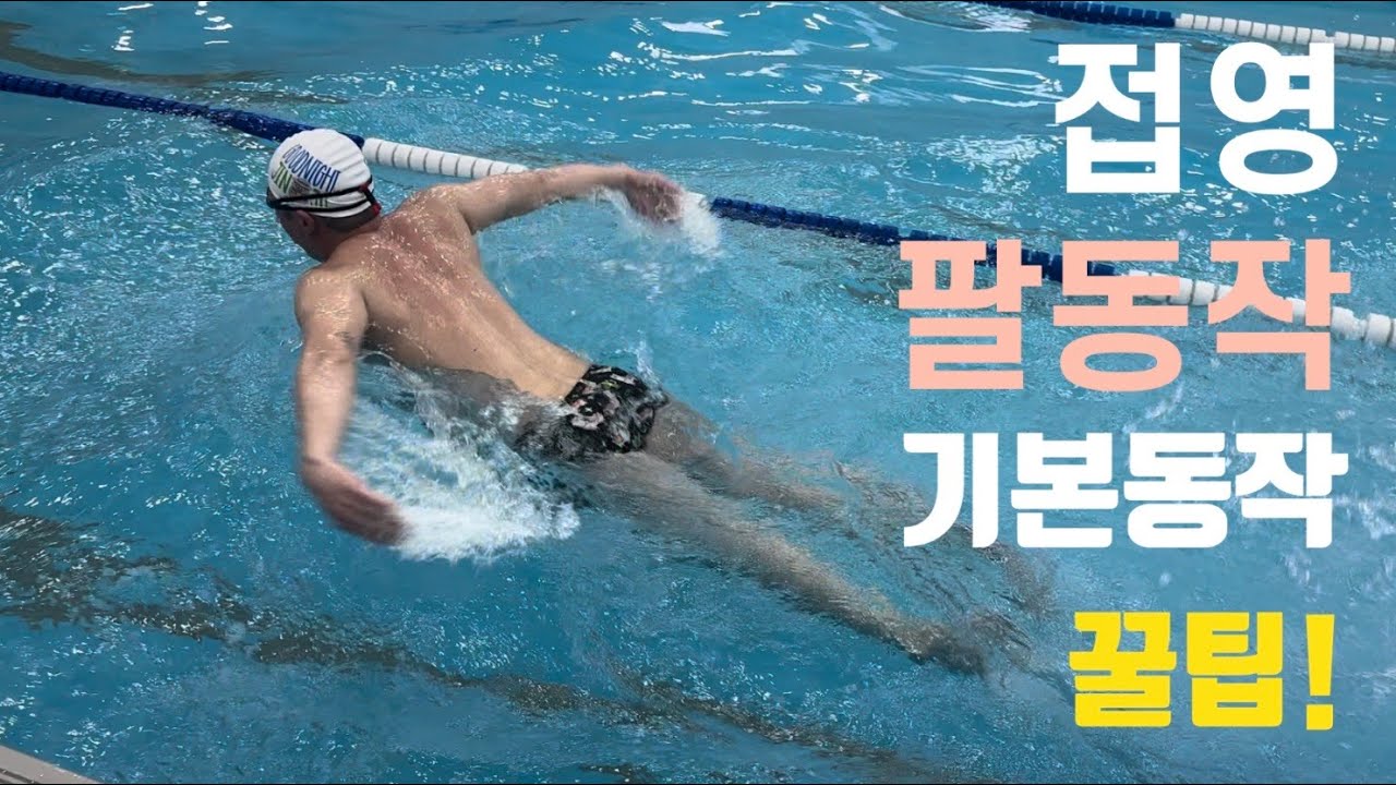 접영이 무겁고 팔이 물에 걸리면 꼭 보세요!!(기본동작, 꿀팁)