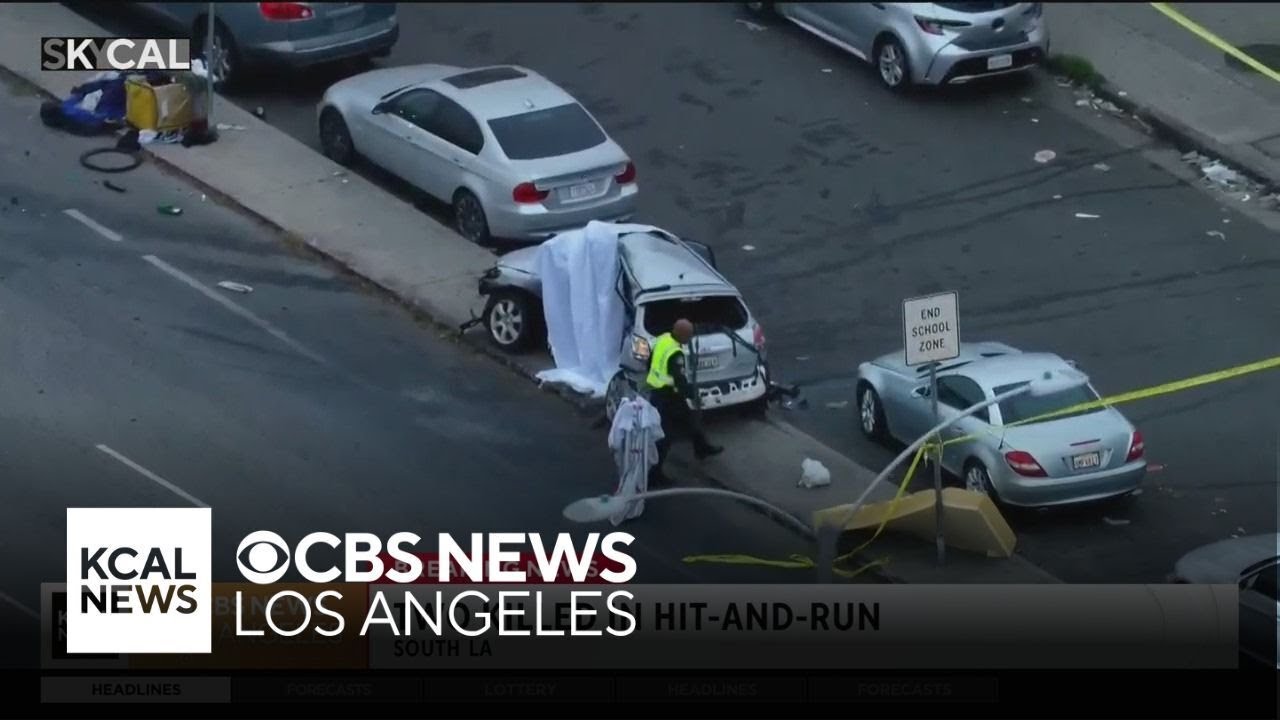 South LA hit-and-run kills 2 people