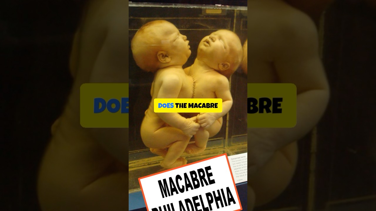 Philadelphia's Macabre Mutter Museum! #philadelphia #museum #travel #creepy