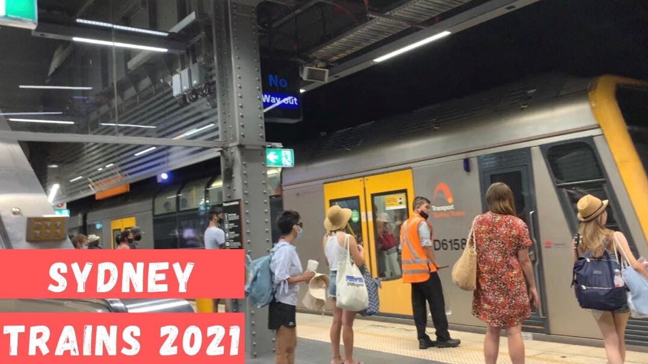 Sydney Trains | Train Ride from Cirqular Quay to Town Hall