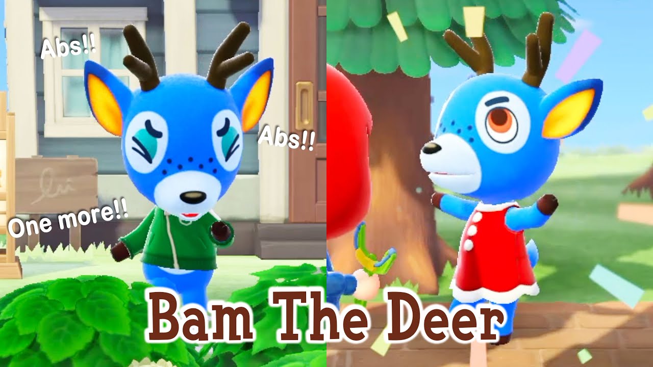 Bam The Deer Jock Villager Animal Crossing New Horizons ACNH