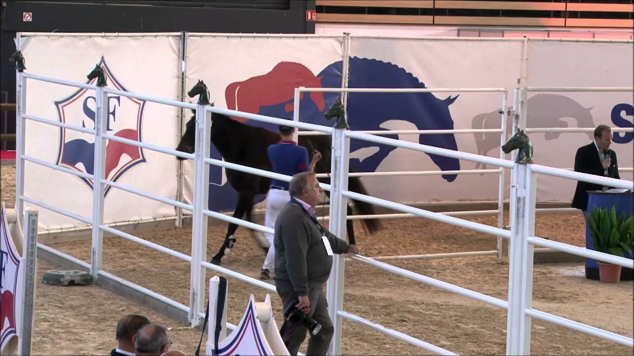saut en liberté