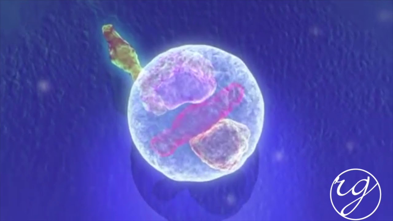 BOTOX® Mechanism of Action Video