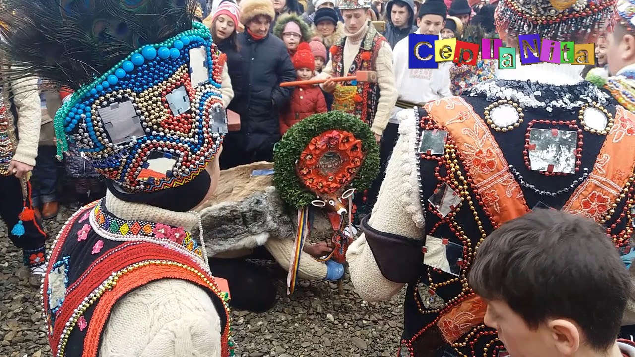 Cerbul de la BUHALNIȚA - Comuna CEPLENIȚA - 31 decembrie 2017