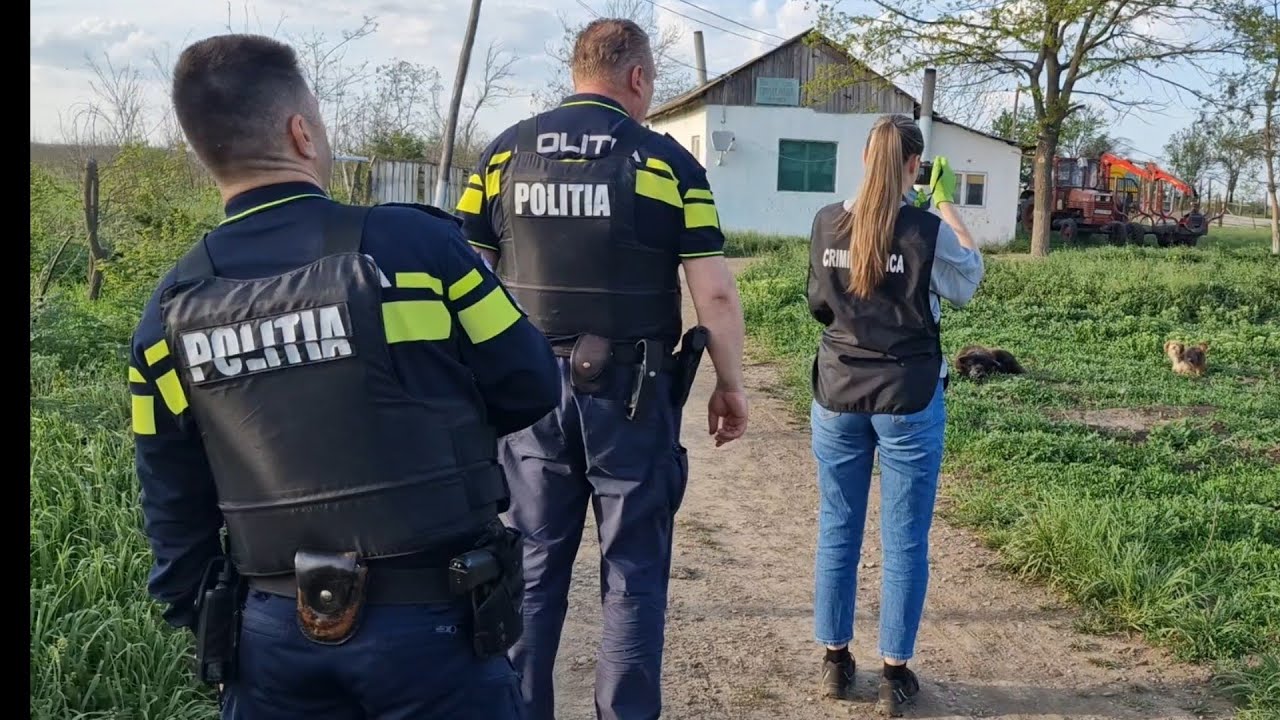 Am prins lupii de la Ocolul Silvic Tecuci ! Poliția 112 în acțiune de nota 10 !