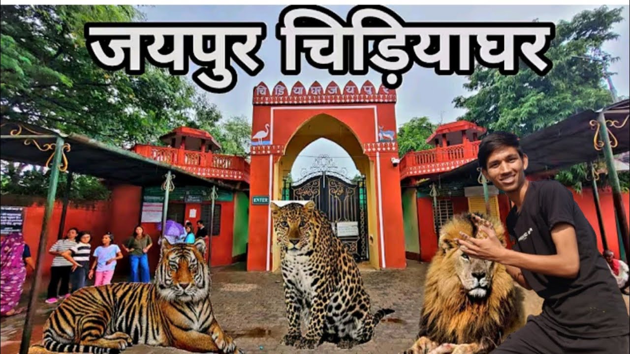 🐯 Jaipur Chidiyaghar Ki Sachchai 😨 | Khatarnak Vlog