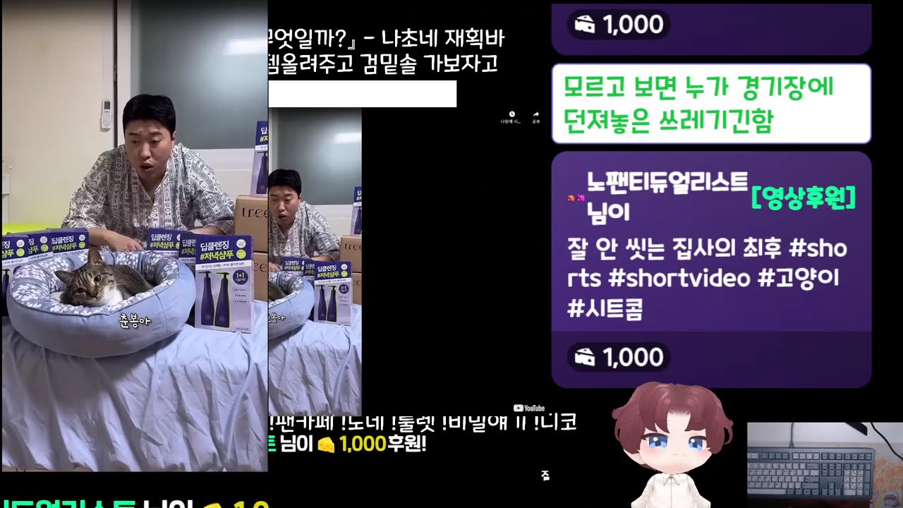 3월 미니쇼케 재획바, 카데나 템맞추고 스데루 더? 2026-02-14 #나초다시보기 #다초 #풀영상