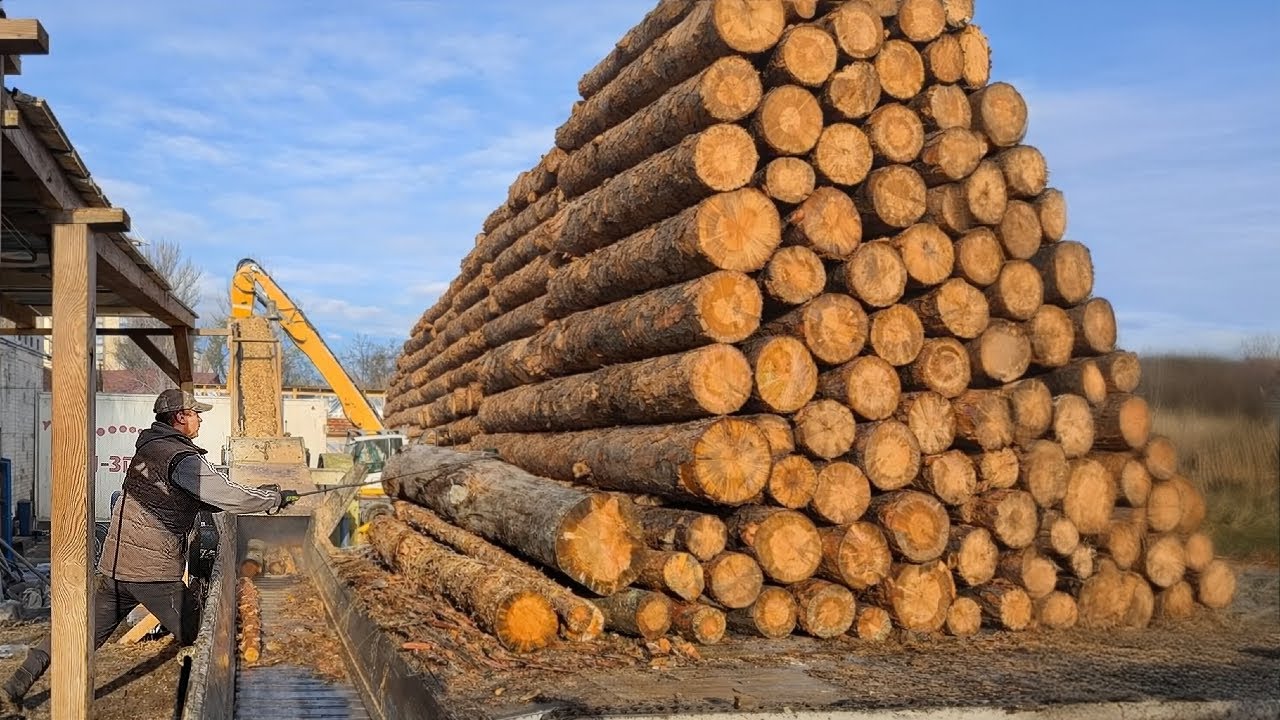 Incredible Log Feeding Speed | Industrial Machine Power