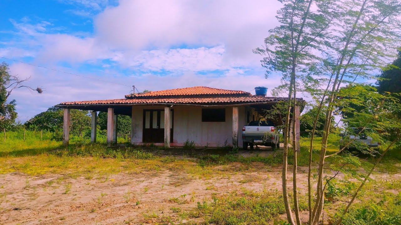 Sítio à venda na Paraíba - 22 Hectares de Verde 🌽🥕 🚨 RS 350 mil reais 🚨 Parte 01