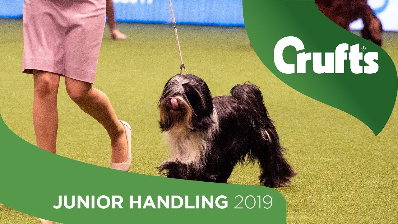 International Junior Handling Competition - Round 2 Part 1 | Crufts 2019