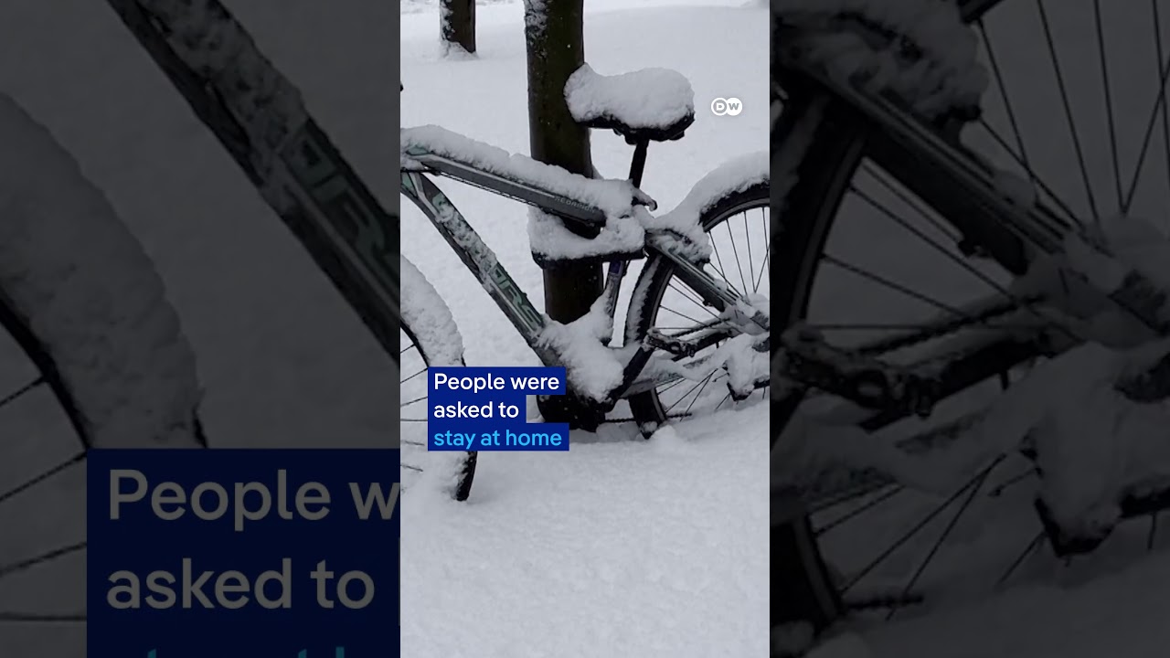 Snow chaos in Romania |  DW News