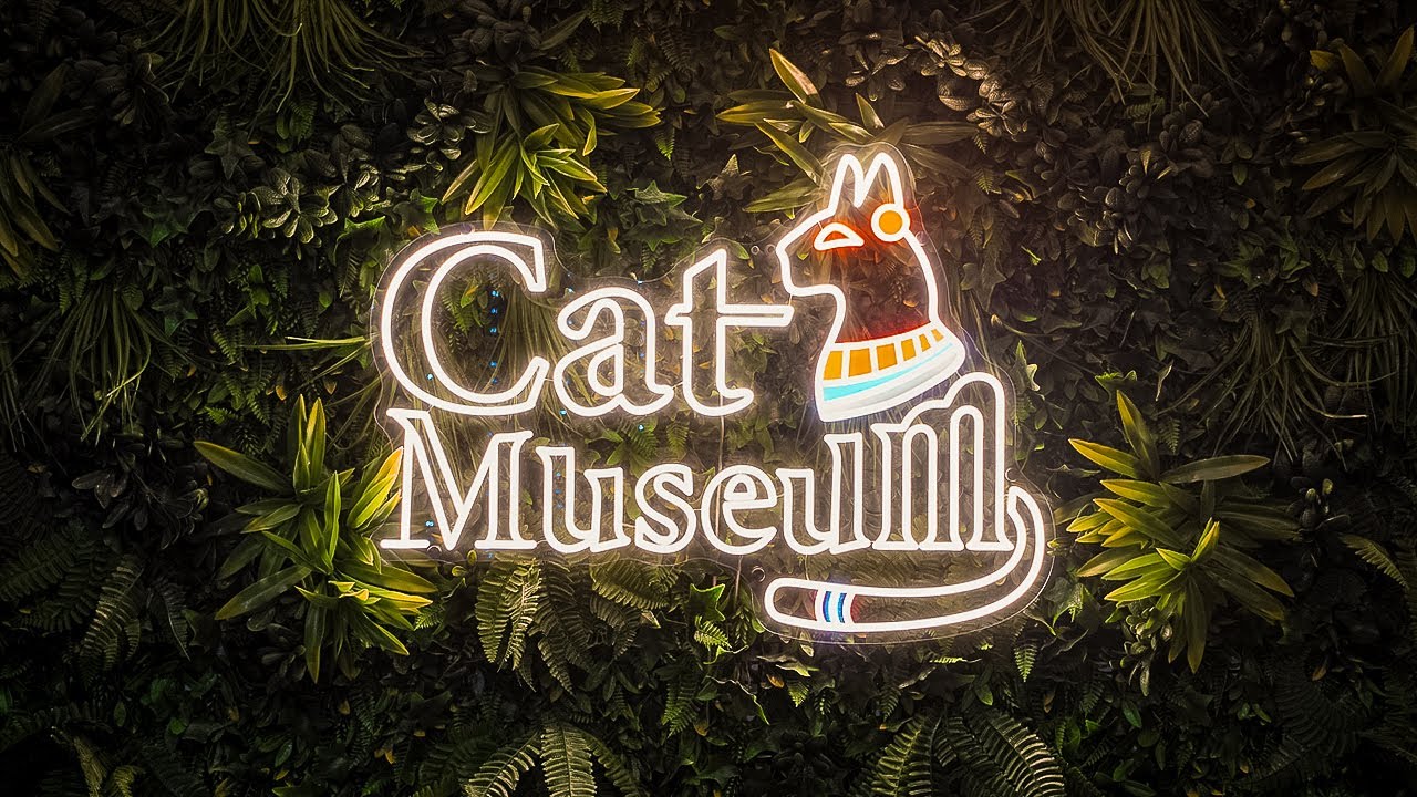 Inside Budapest&rsquo;s Cat Museum 🐾 | A Paradise for Cat Lovers #vlog