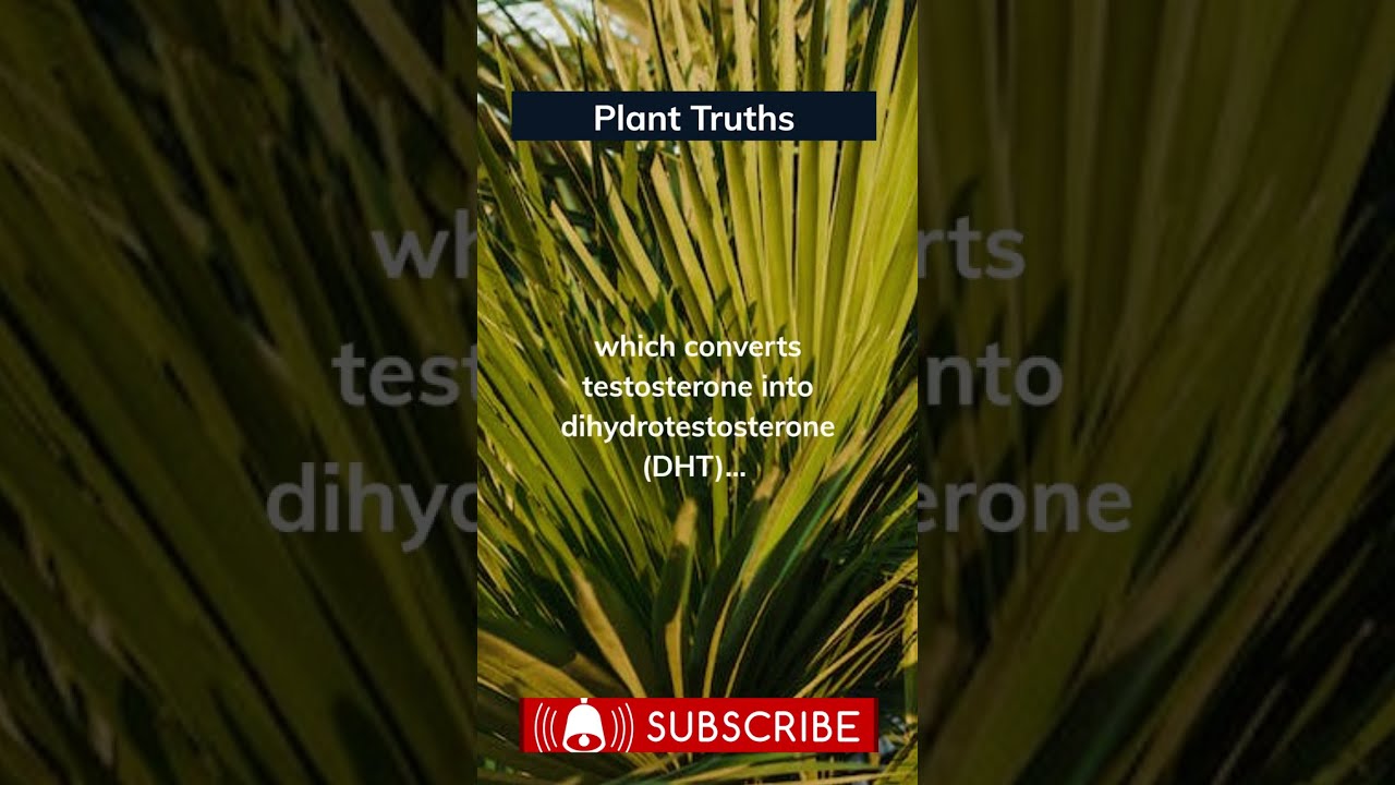 Take Control of Your Health: Explore Nature's Secrets! 👇 #planttruths #sawpalmetto #naturalhealing