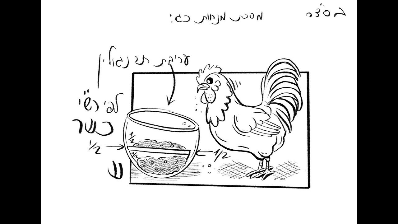 מסכת מנחות דף כד׳ 👆