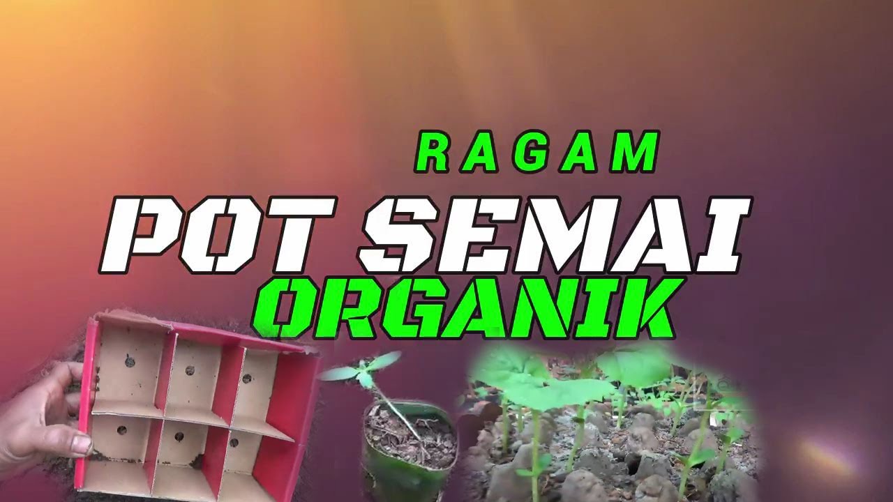 Ragam Kreatif Tani  POT SEMAI ORGANIK Ramah Lingkungan Yang Bisa Di coba