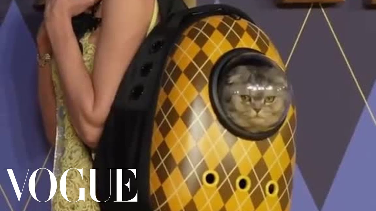 Claudia Schiffer and Her Argylle cat!