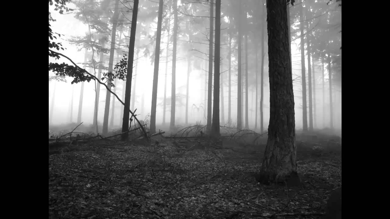 [REVERSE] Slender Man Song