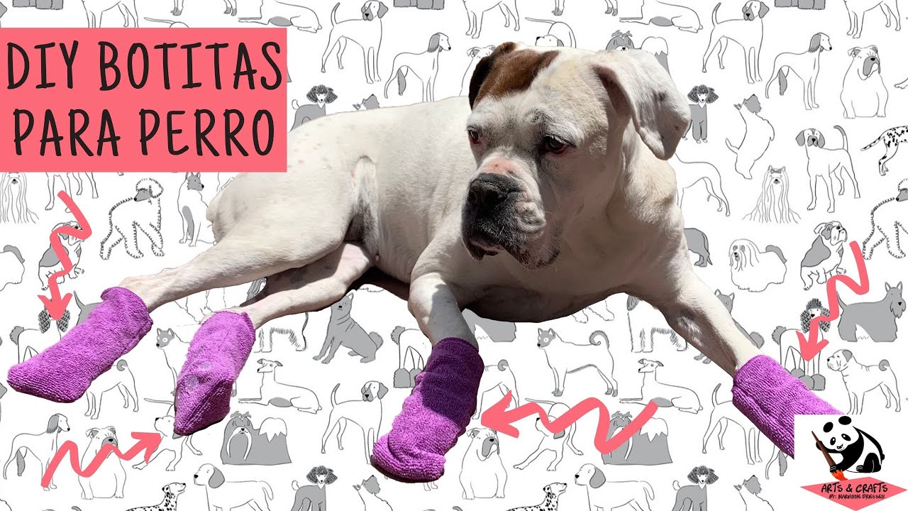 ¿Cómo Hacer Botas Para Perro DIY? | ¡A tú perrhijo le encantará!