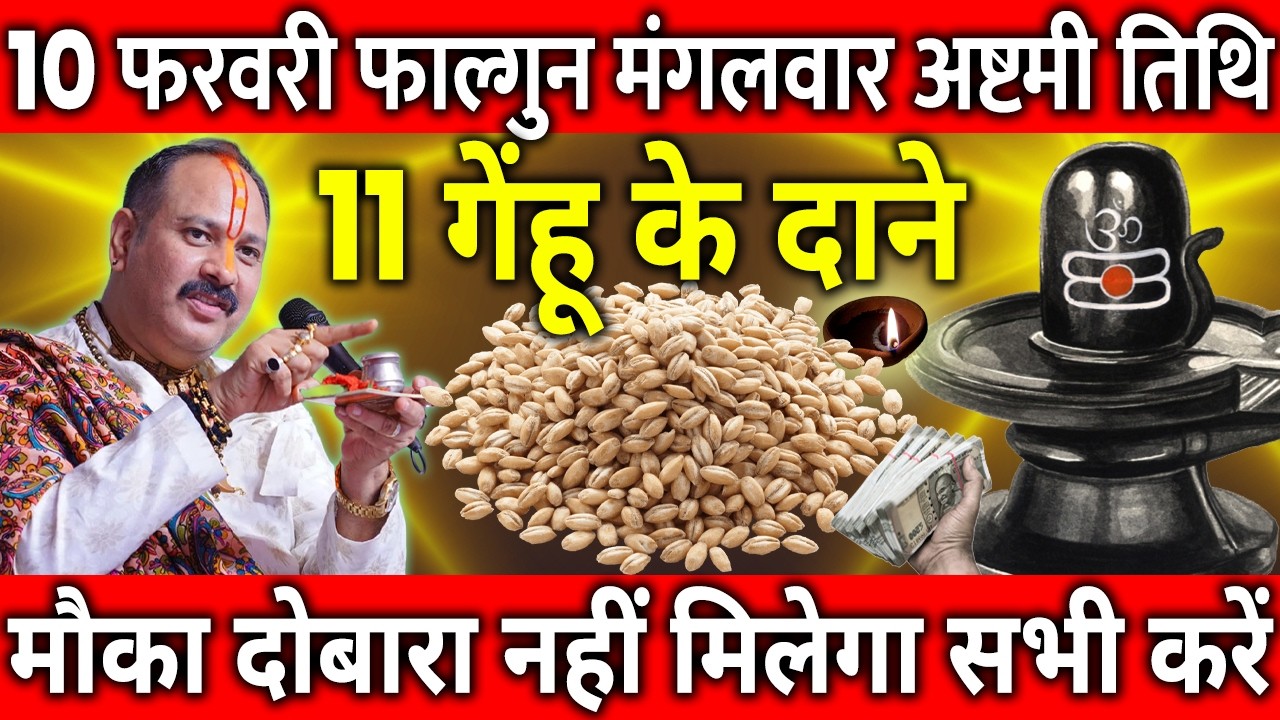 10 फरवरी फाल्गुन मंगलवार अष्टमी के दिन 11 गेंहू के दाने वाला उपाय जरुर करे || Pradeep Ji Mishra