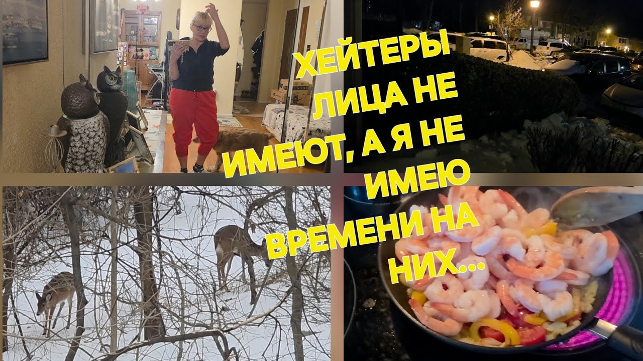 МУЖ,КАК ЛЕШИЙ🫣//В ДОМ КТО ТО ЗАБРАЛСЯ?#АМАЗОН_БЛАГОДАРИТ_ЗА_ЧЕСТНОСТЬ#ОБЛЕДЕНЕНИЕ_США#//ОЛЕНИ ПРИШЛИ