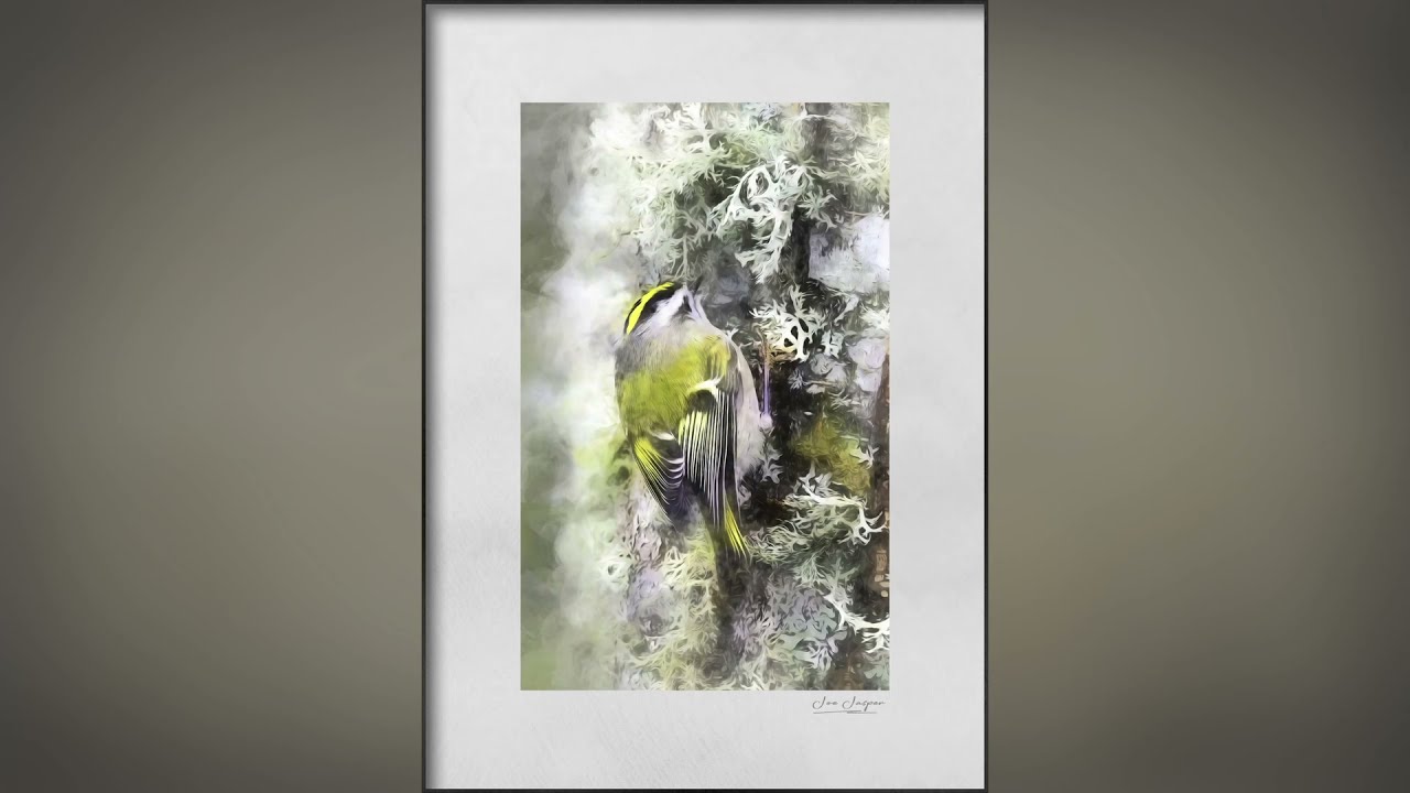 Using Topaz Studio 2 Sketch and Watercolor Together