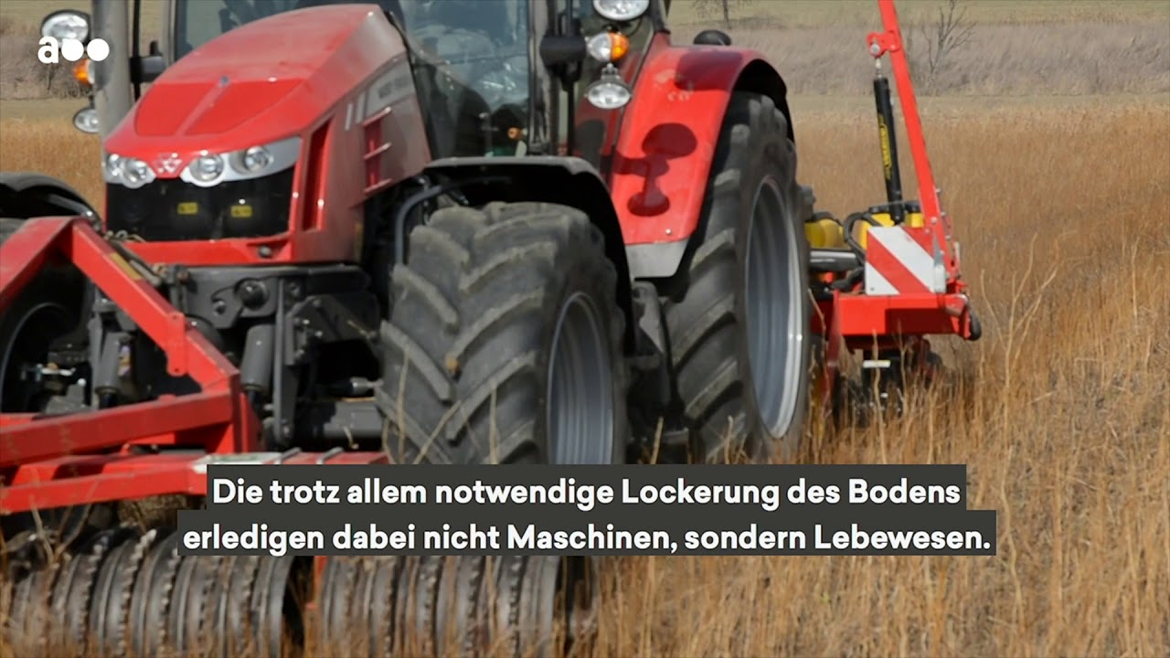 Landwirt kämpft gegen Hochwasser und Klimawandel