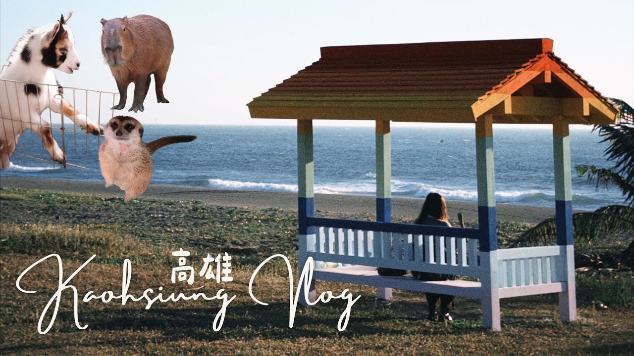 Kaohsiung Vlog💫｜去高雄倒數🎆｜市中心的寵物互動園區🐑｜超推薦的一間火鍋店🍲｜駁二、旗津