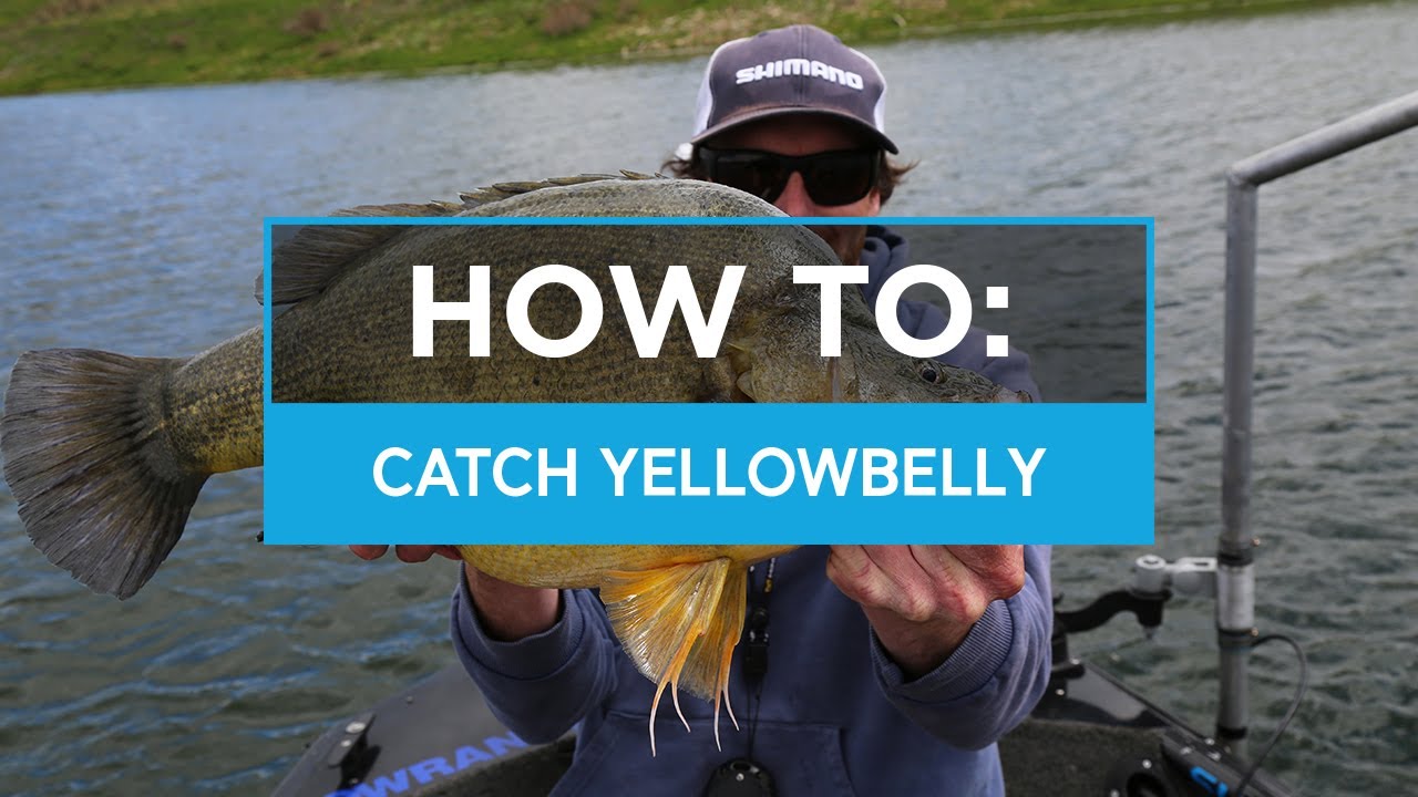 HOW TO: Catch Yellowbelly (Golden Perch) at Lake Windamere