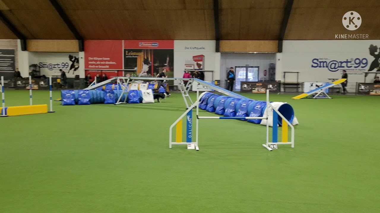 Recent runs at competitions