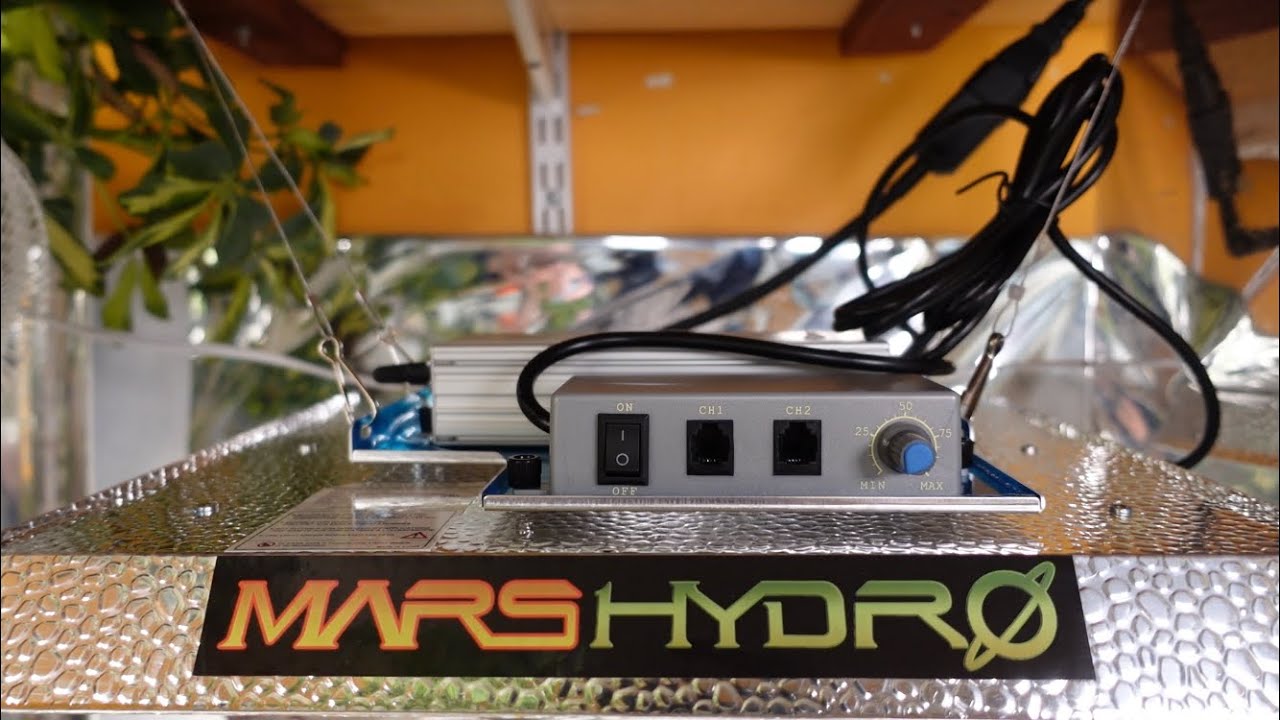 Je test la lampe horticole Mars Hydro TS1000