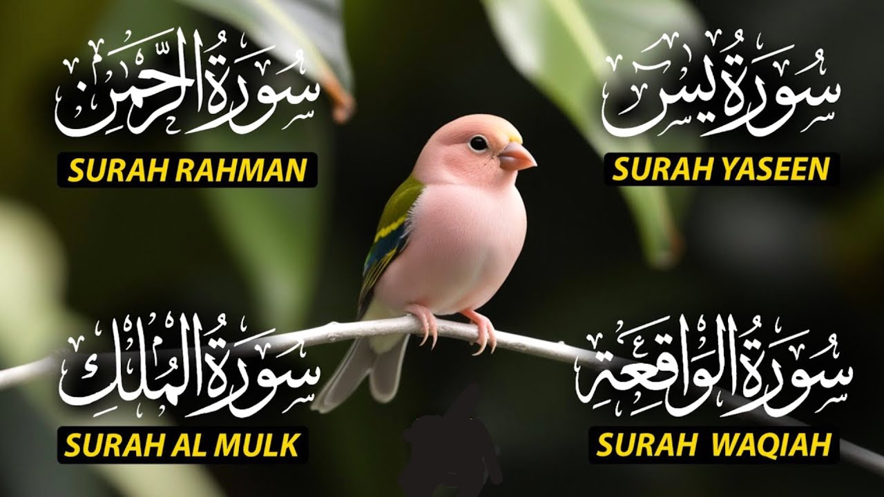 Surah Rahman, Yaseen, Waqiah & Mulk Full (HD) | Heart Touching Quran Recitation for Peace & Rizq