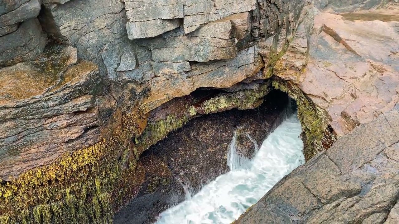 Thunder Hole Acadia National Park