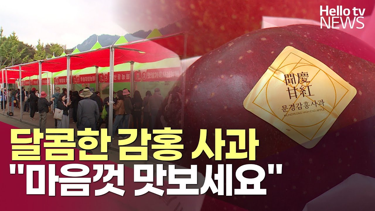 “달콤한 감홍 사과, 마음껏 맛보세요”ㅣ#헬로tv뉴스