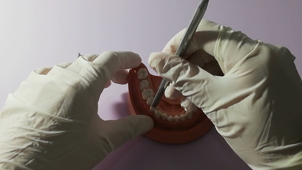 ASMR ita - il tuo dentista ti estrae un dente