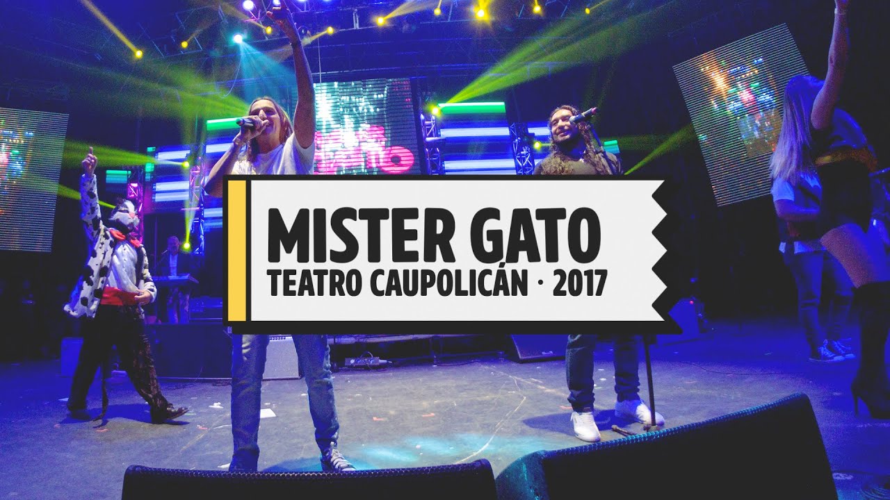 Mister Gato - Teatro Caupolicán - Fiebre del Memo - Junio 2017