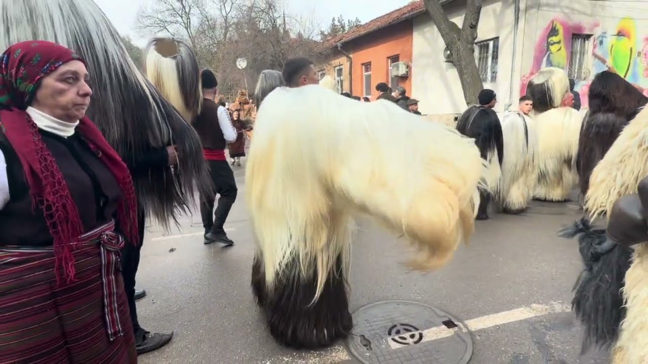 Сурва в Перник