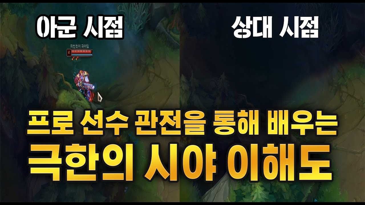 [난입 그브] 프로 선수 관전을 통해 배우는 정글러의 극한의 시야 이해도