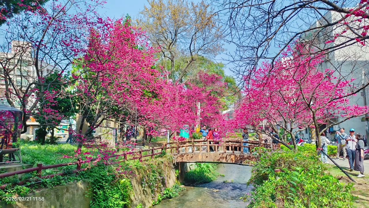 新年走春莒光公園