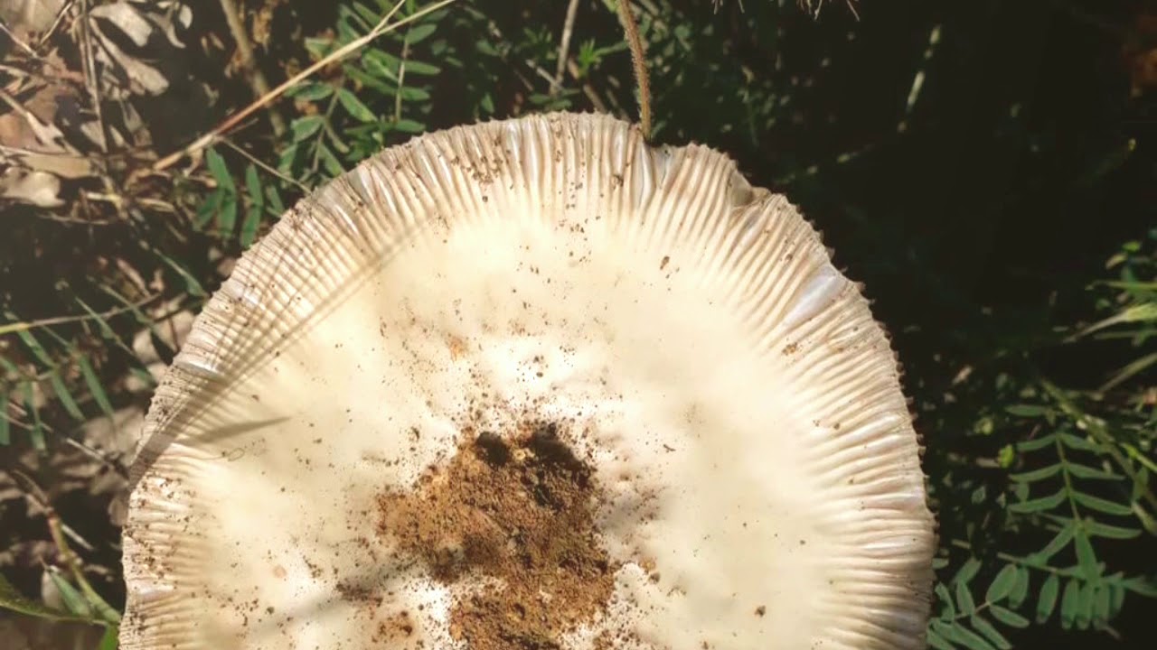 Köyümüzü biraz tanıyalım dedük