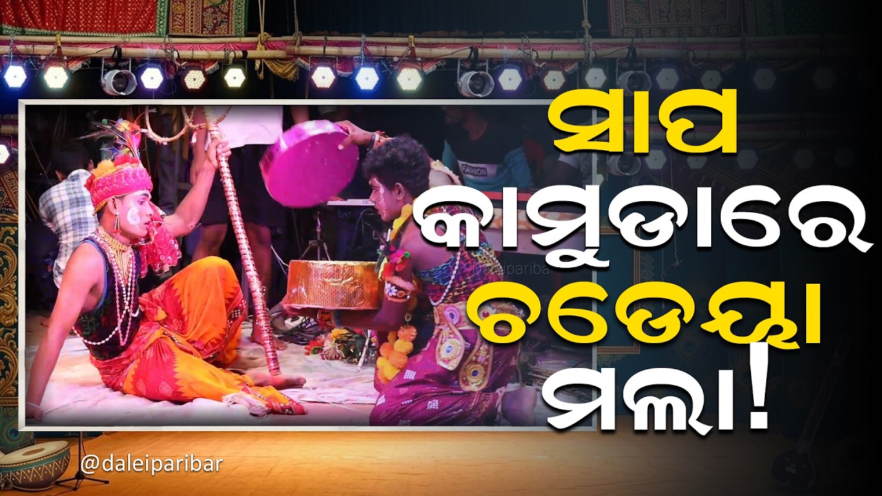 ସାପ କାମୁଡାରେ ଚଡୟା ମଲା ! | DANDA JATRA 2026 | Danda Yatra Special🔥|DANDA NACHA BHERUPADA #dandajatra