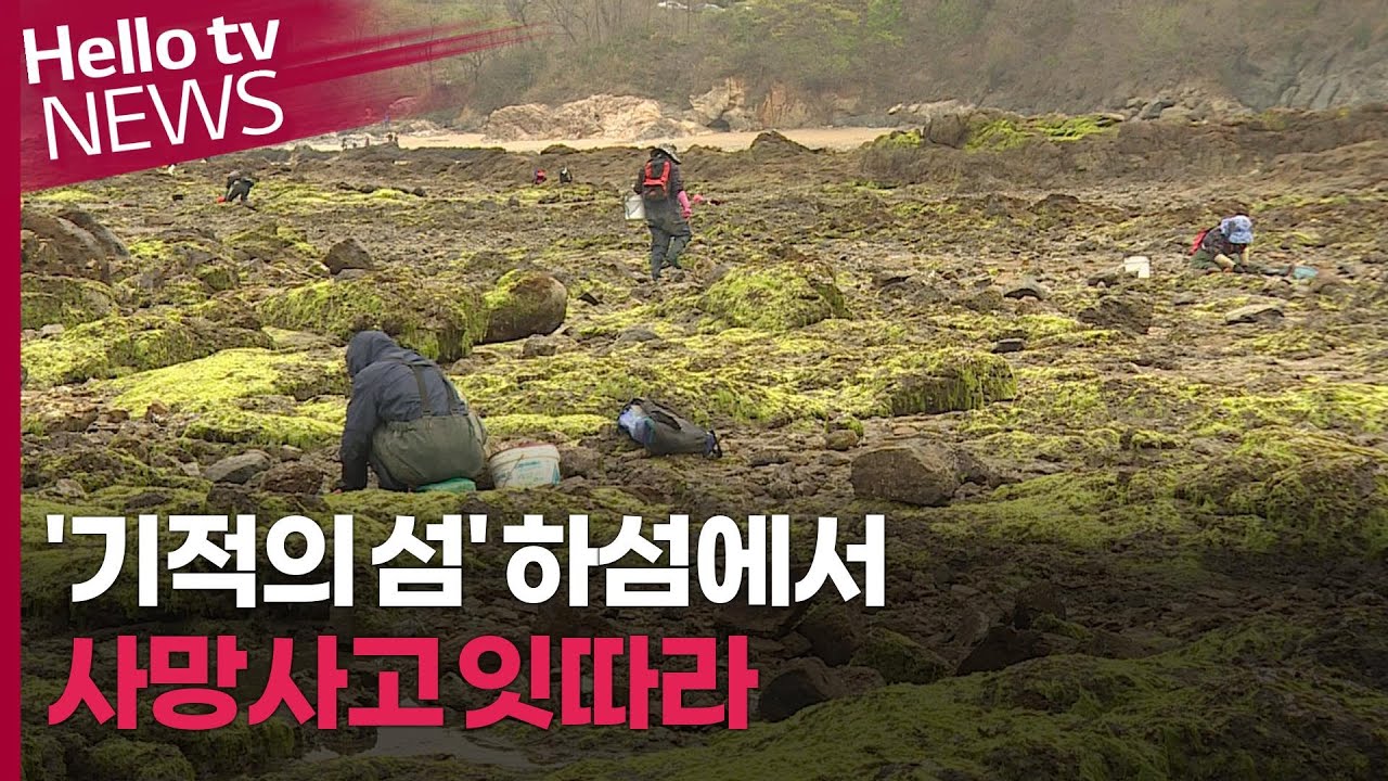 '기적의 섬' 하섬에서 사망사고 잇따라…주의 필요