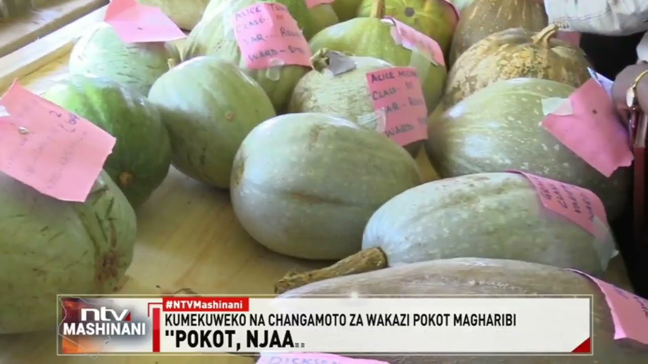 Pokot Magharibi: Serikali yaanzisha mpango ya kuimarisha kilimo kupitia mfumo wa kilimo biashara