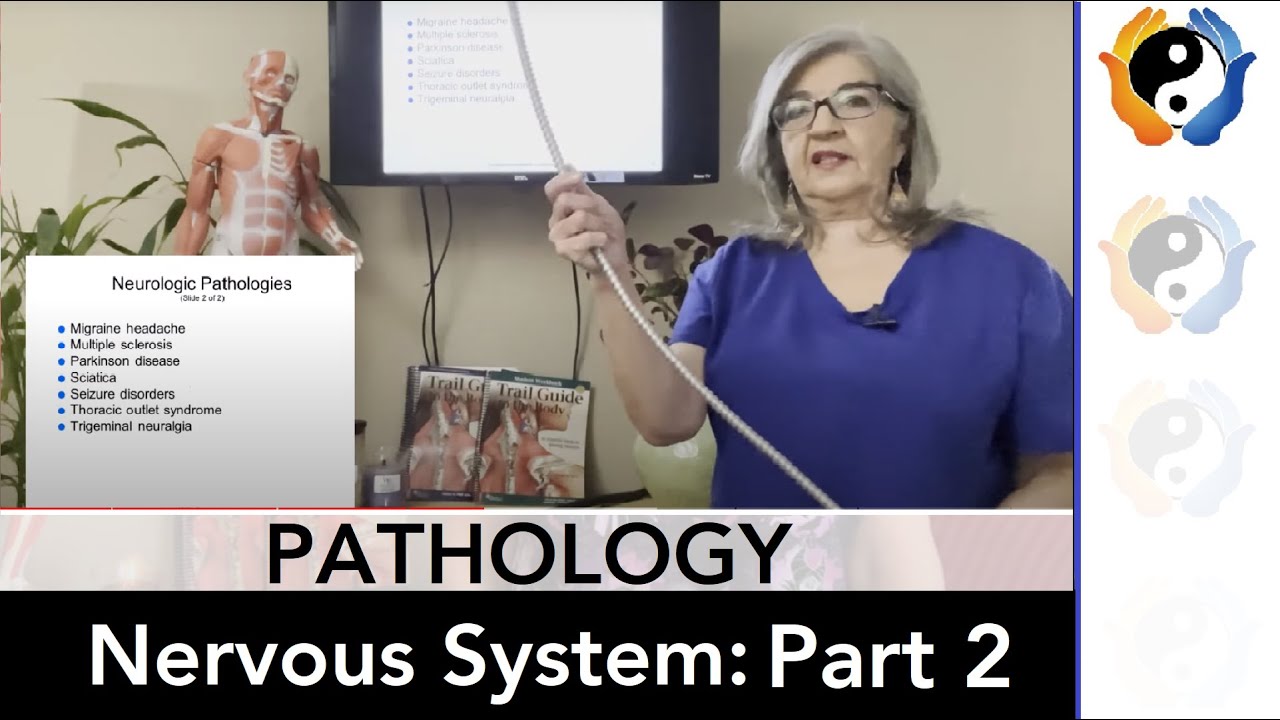 Nervous System Pathologies: Part 2