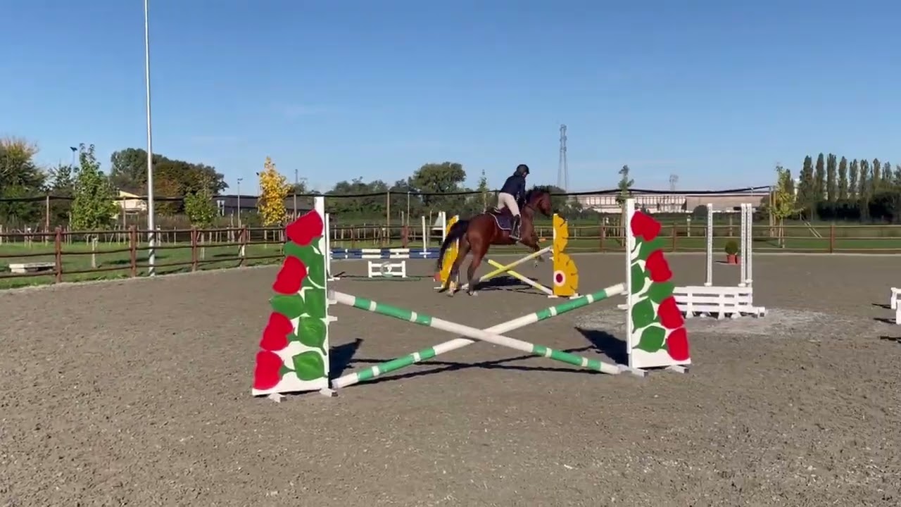 SANTORINI BLUE  3y/o