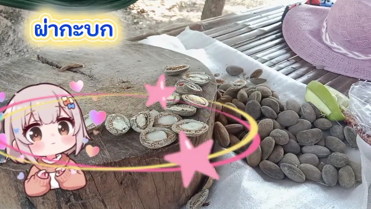  #ผ่ากะบก ที่บ้านกลางป่า 