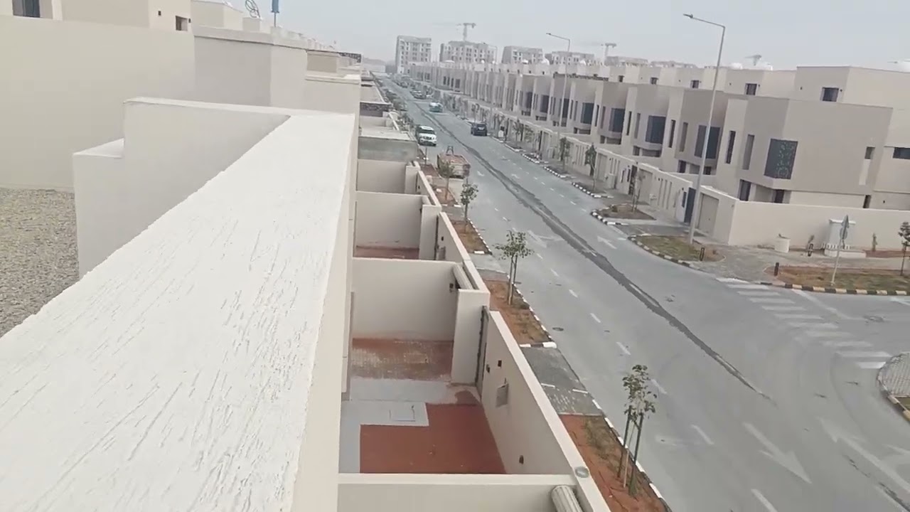 ١٢ مارس، ٢٠٢٦